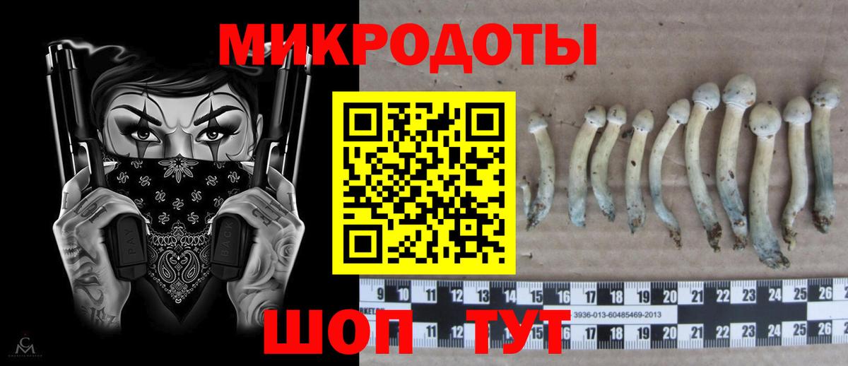 Галлюциногенные грибы Magic Shrooms Таганрог